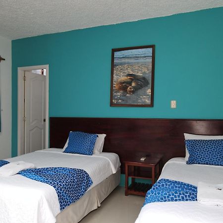 Hotel La Gran Tortuga - ᯤ Starlink Пуэрто-Вильямиль Экстерьер фото